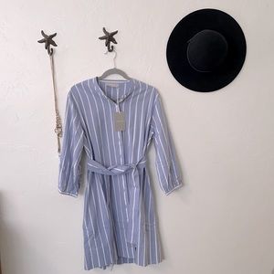 Everlane button down dress